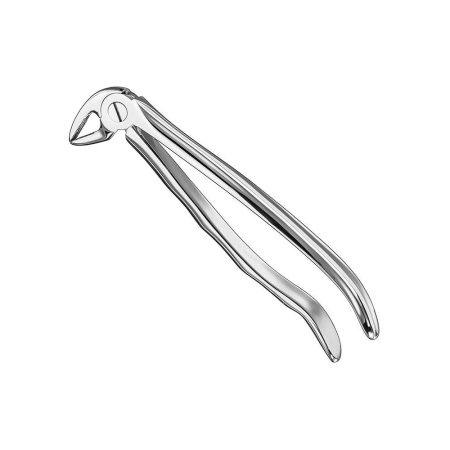 Extracting forceps, engl